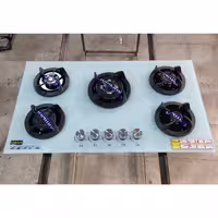 اجاق گاز صفحه ای اریکسان j4 شیشه سفید (پس کرایه)
