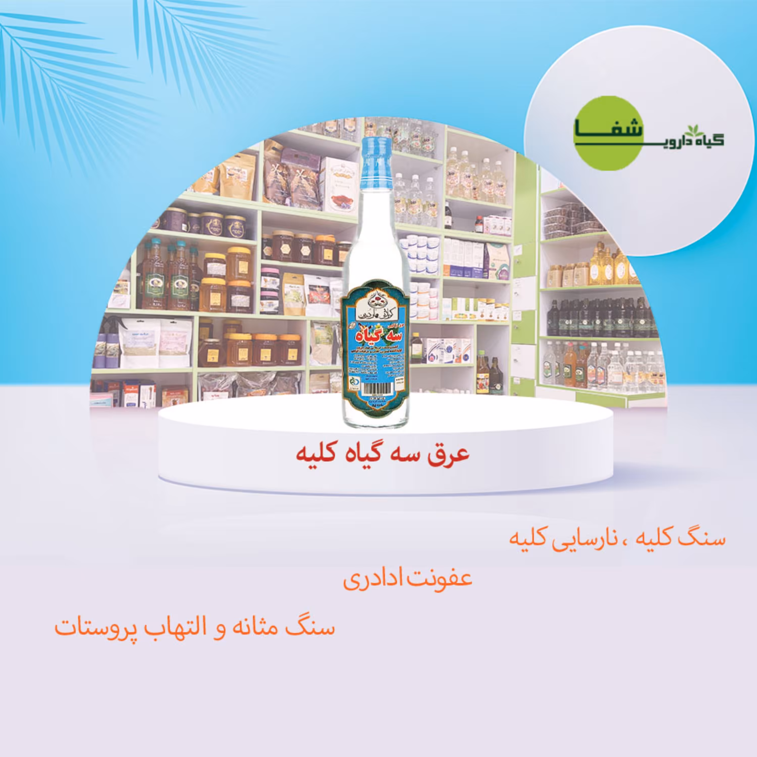 عرق 3 گیاه کلیه