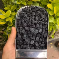 مویز بدون هسته یک کیلویی یلدا آقای زعفران