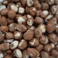 مغز فندق تازه تازه تازه در بسته بندی 500 گرمی