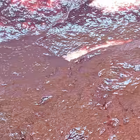 رب آلو نیم کیلویی غلیظ