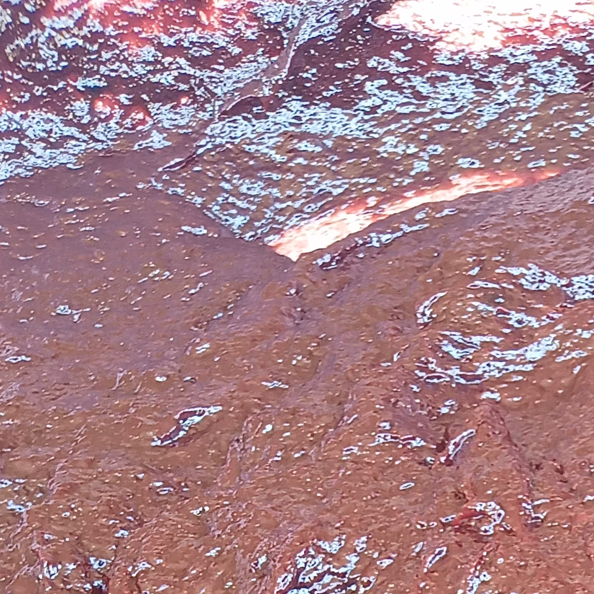 رب آلو نیم کیلویی غلیظ