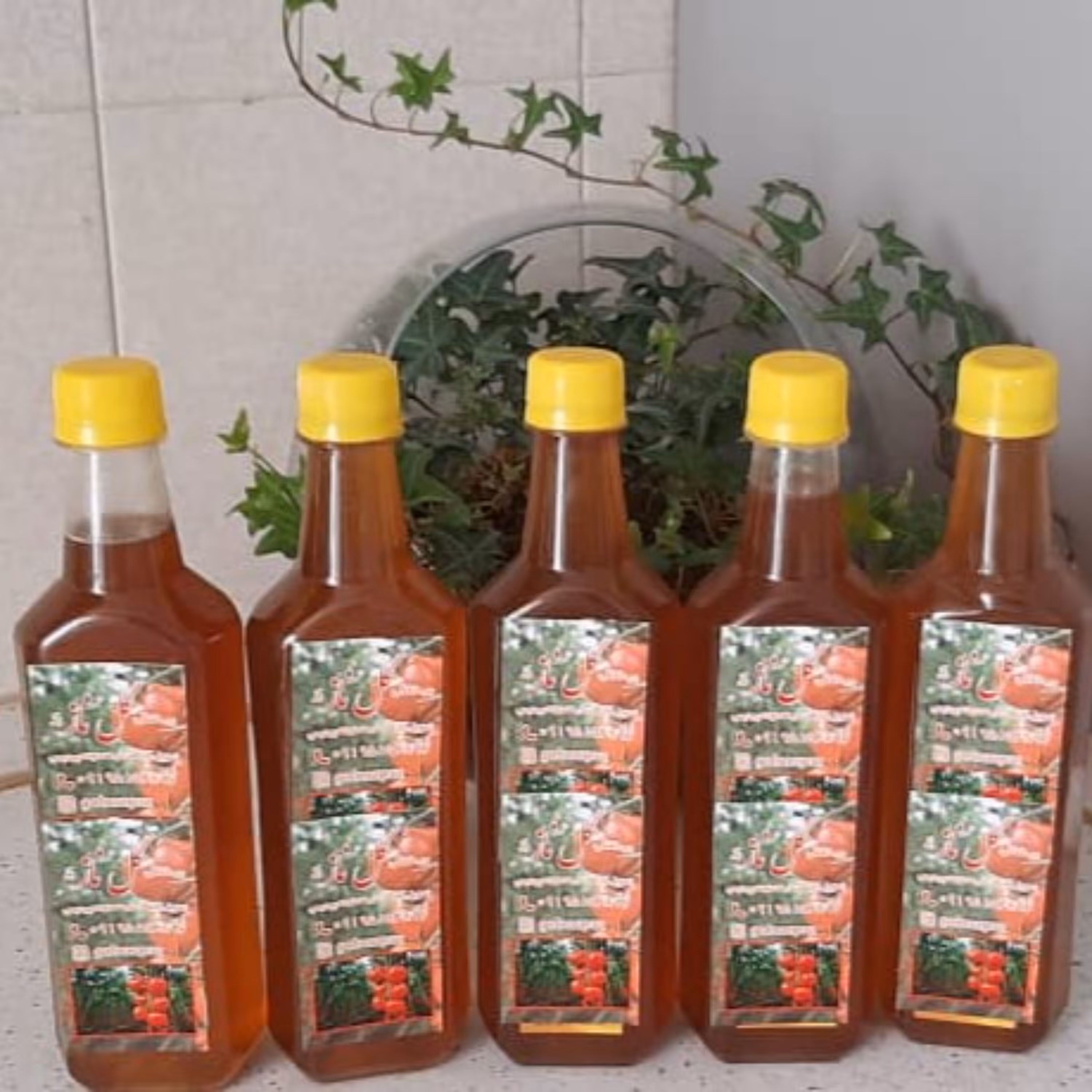 سرکه انگبین 