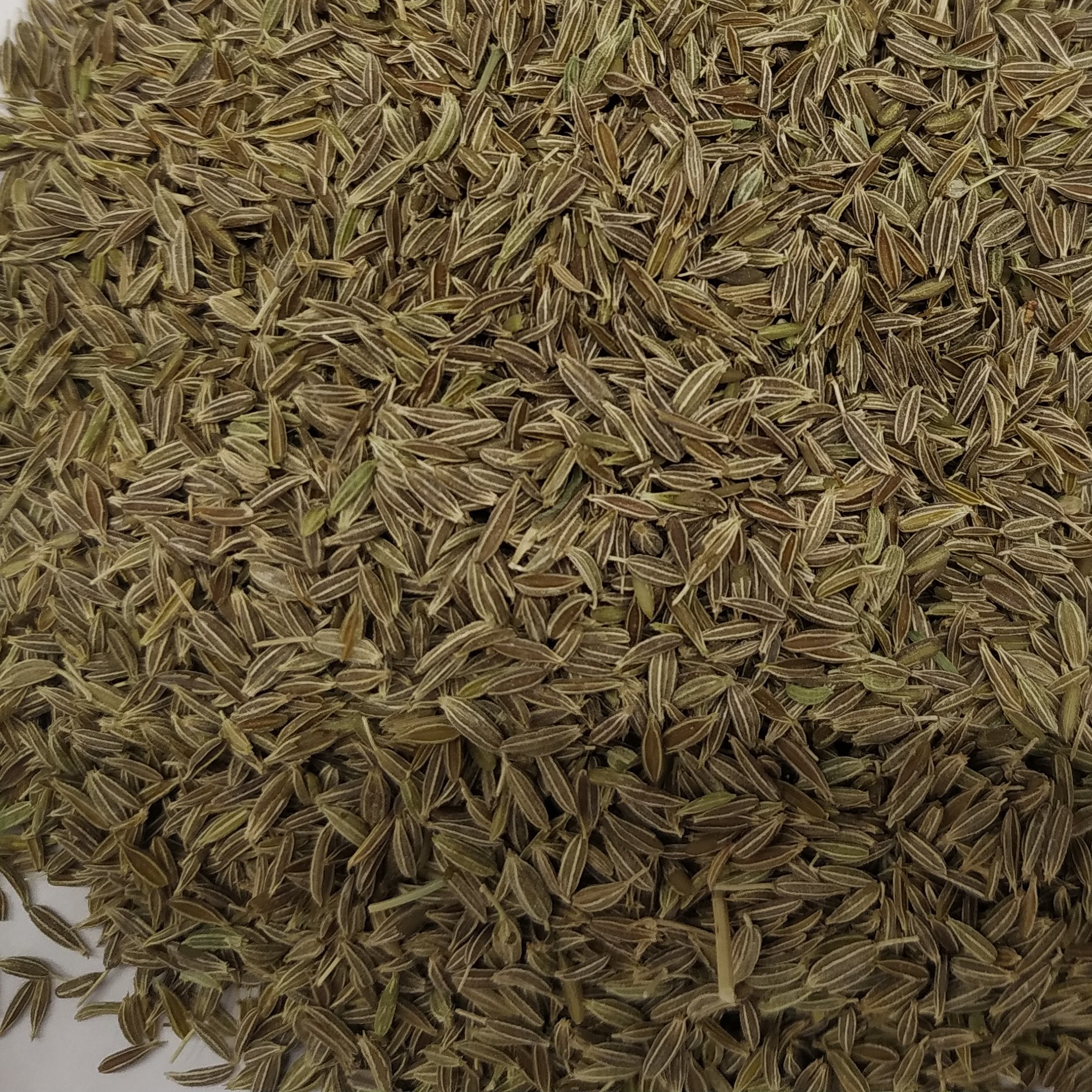 زیره سبز 150 گرمی