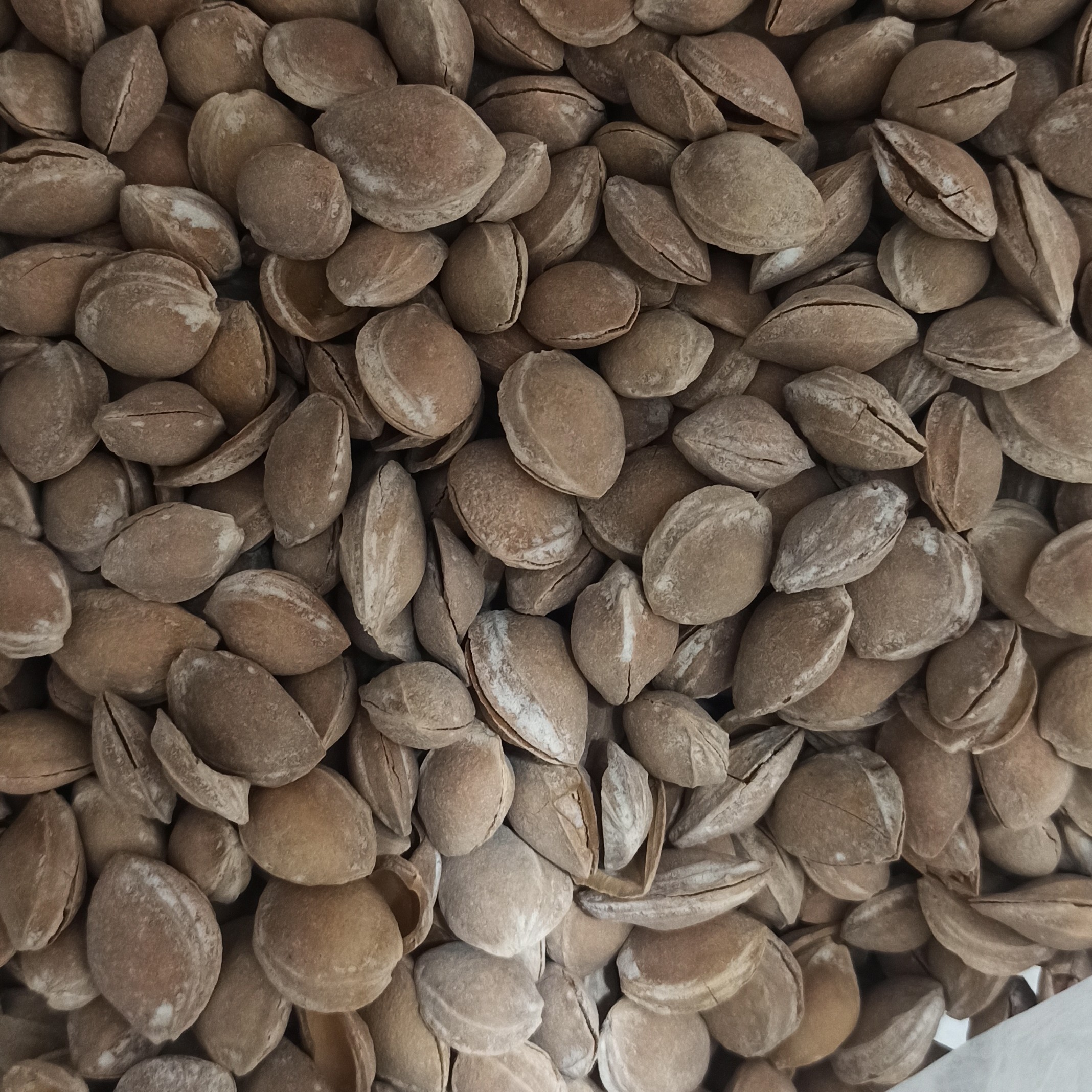 خوراکی