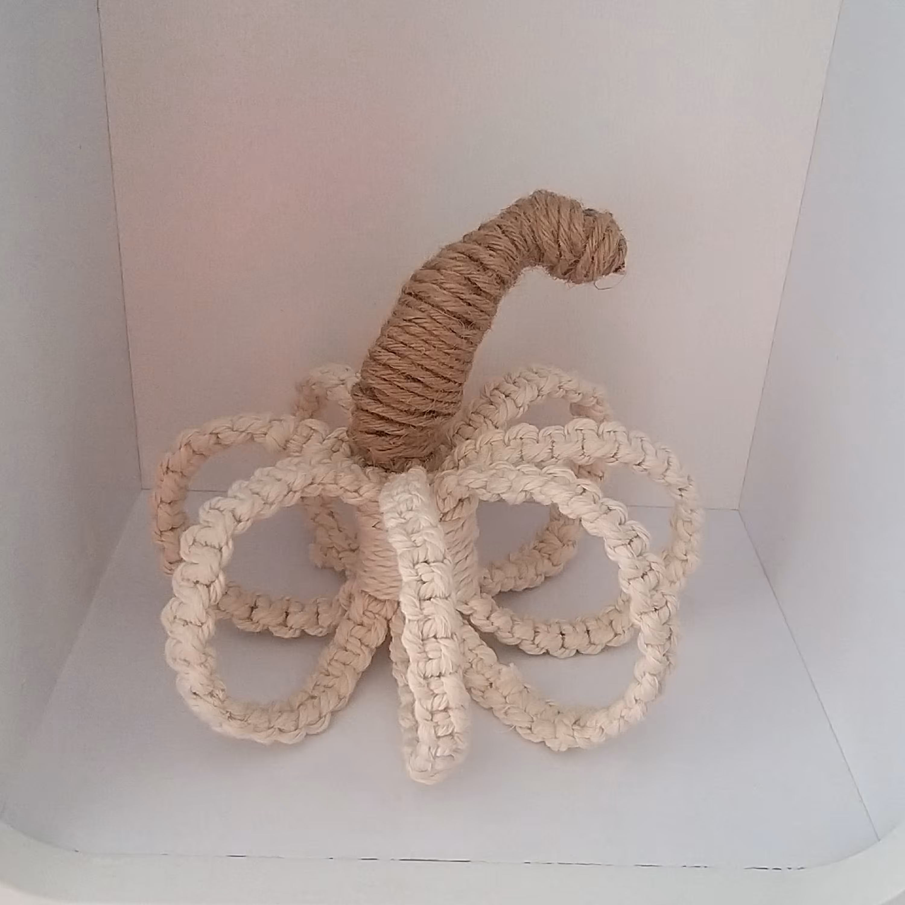 کدو تزئینی مکرومه