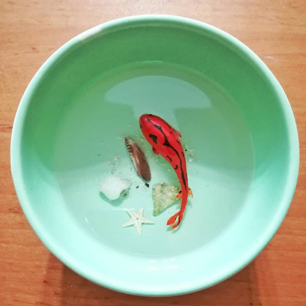 ماهی هفت سین با ظرف سفالی طرح 2