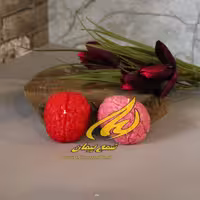 شمع پیمان مدل مغز کد F26.