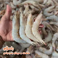 میگو  دریایی سایز بزرگ ( 31 -40 ) تازه و صید روز بندرعباس (1کیلوگرم)