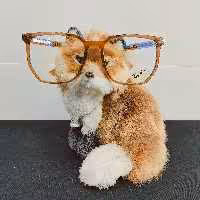 عینک طبی کائوچویی شفاف مدل چند ضلعی اسپورت های های کپی درجه 1 مارک ری بن و از  جنس استات رنگ قهوه ای روشن