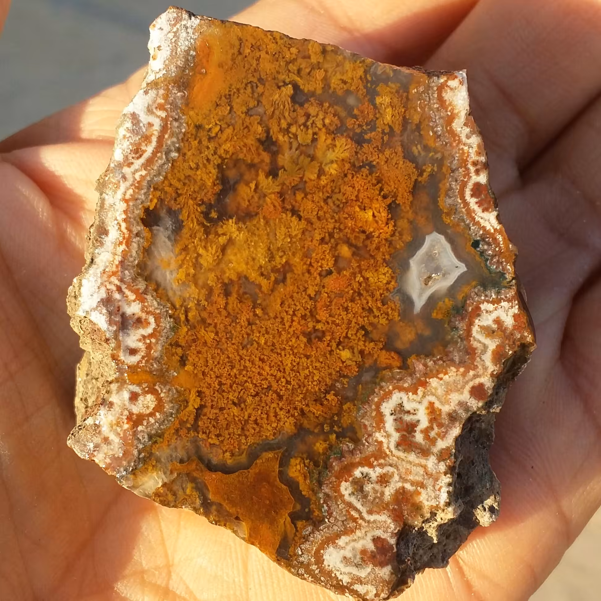 اسلایس سنگ راف عقیق شجر منظره 7رنگ بسیار دیدنی شاهکاار خلقت کاملا طبیعی
با قابلیت ساخت چند نگین قیمتی
تابلو نقاشی طبیعی
