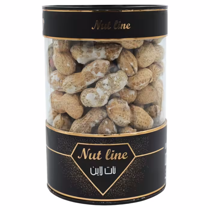 بادام زمینی با پوست نمکی اعلاء نات لاین (ارسال رایگان) 