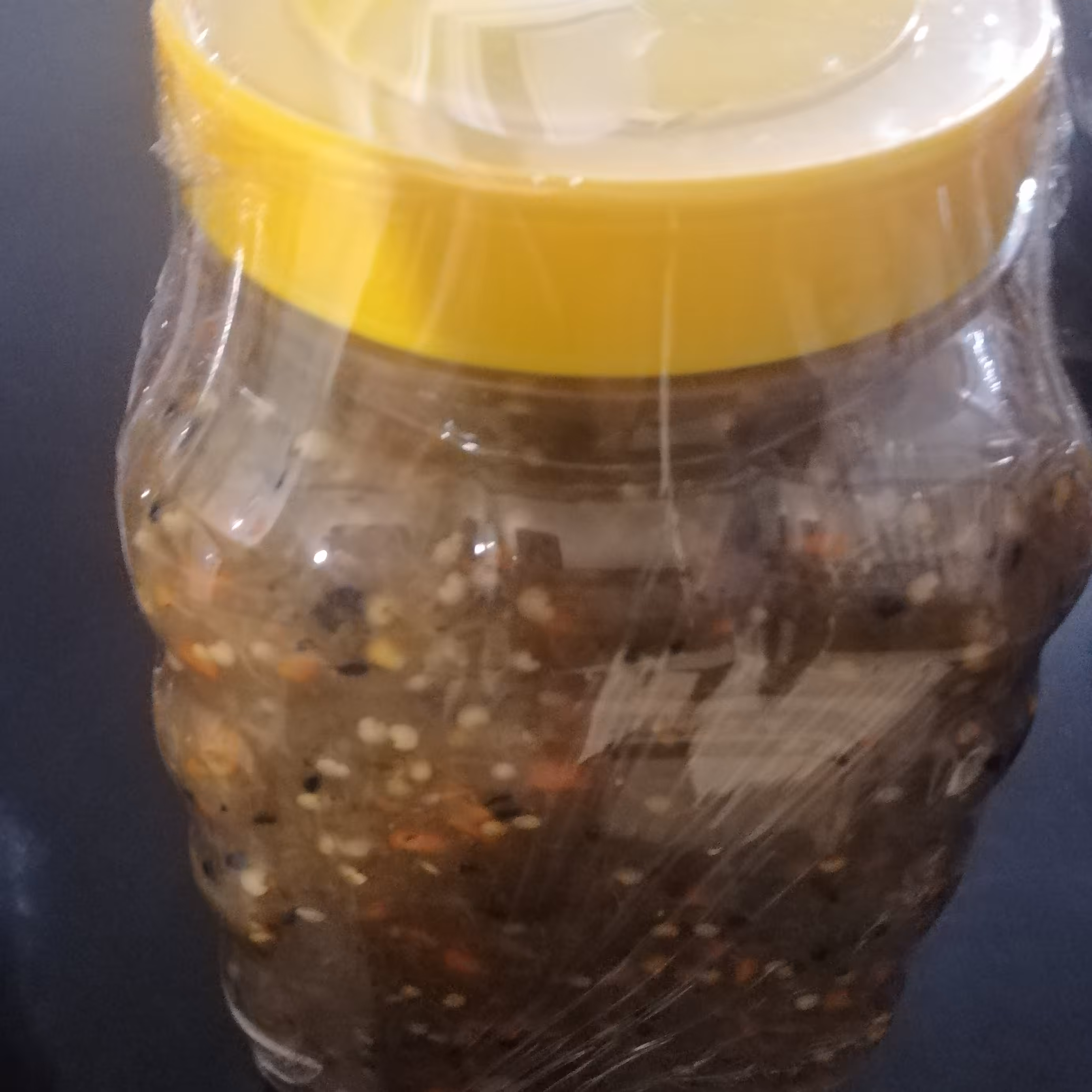 ترشی لیته بادمجان کبابی 