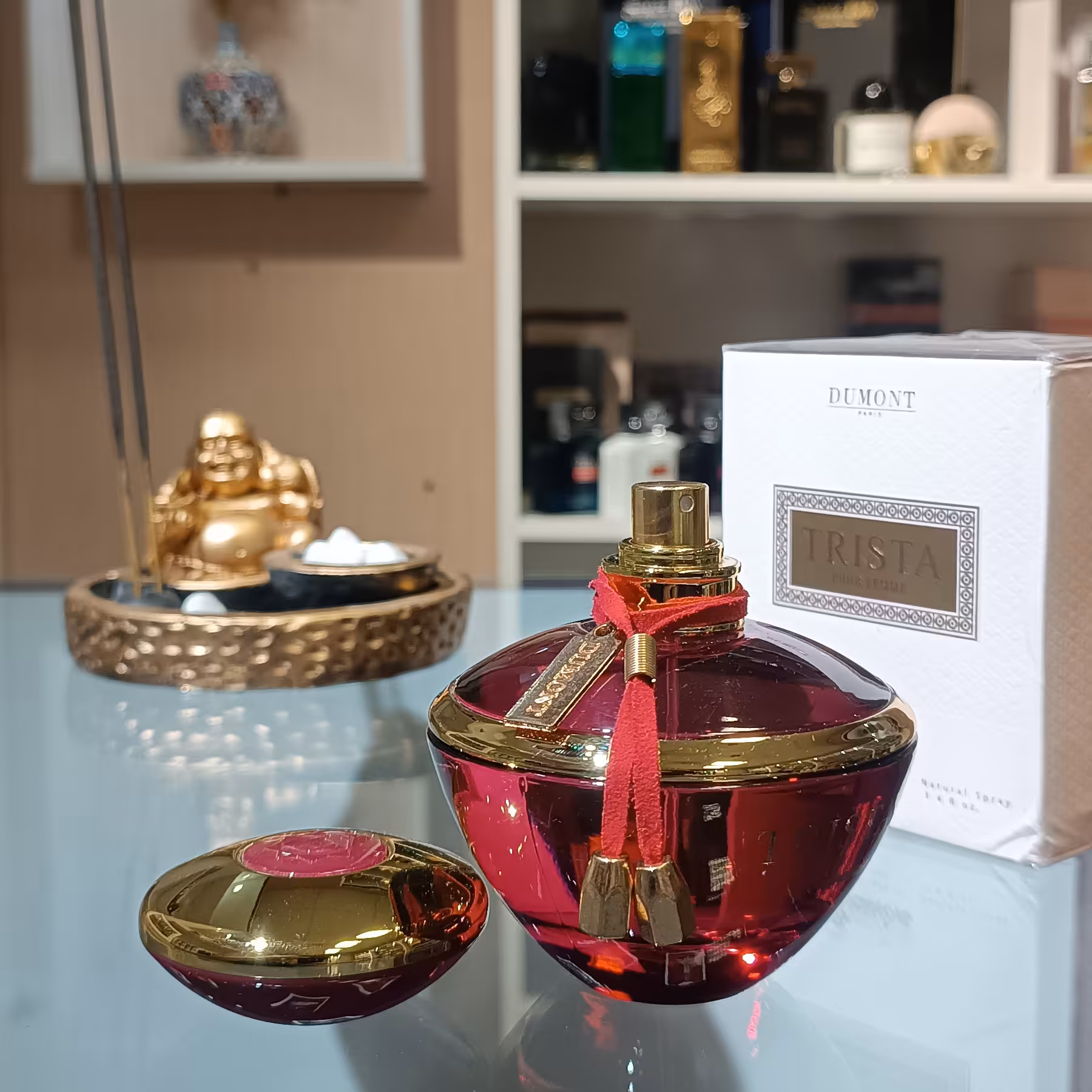عطر ادکلن دمونت پاریس مدل تریستا  آبسشن 100 میل  Dumont paris Trista


