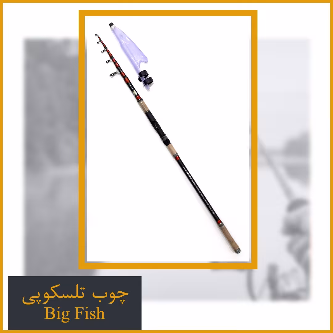 چوب ماهیگیری بیگ فیش 300 سانتیمتر