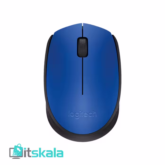 قیمت و خرید ماوس لاجیتک مدل M171 | ITSKALA