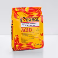 کود NPK 0-0-50 اورسول سولفات پتاسیم اسیدی

0 – 0 – 50 + 39% SO3