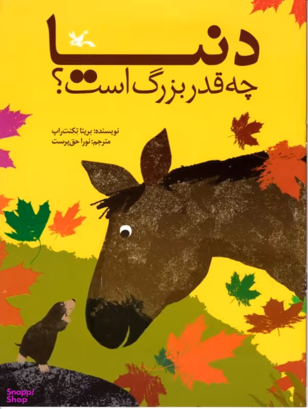 کتاب دنیا چه قدر بزرگ است؟ اثر بریتا تکنت راپ انتشارات کانون پرورش فکری کودکان و نوجوانان