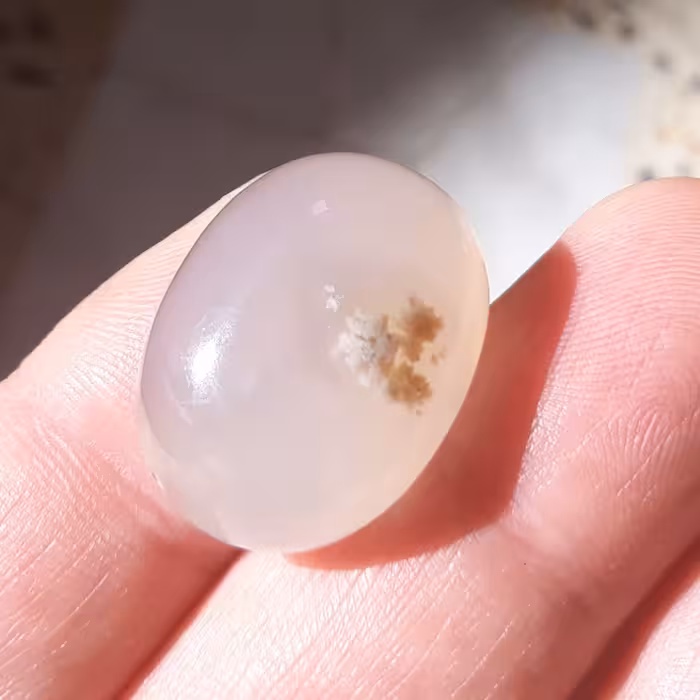 عقیق شجر طبیعی (ارسال رایگان)