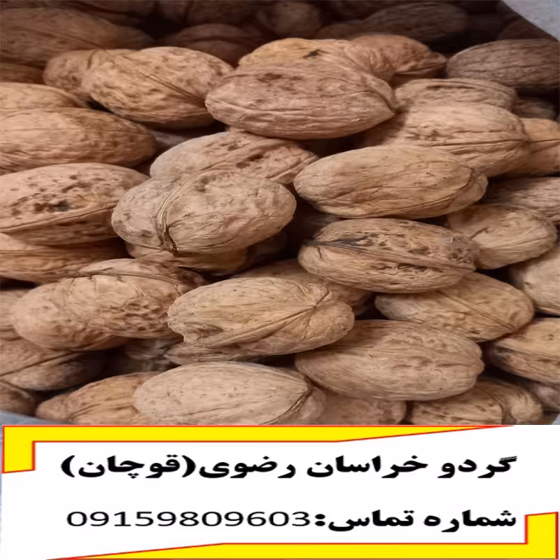 گردو، محصول سال 1402، باغات خراسان رضوی ، قوچان- کیفیت عالی و مغز پر چرب 