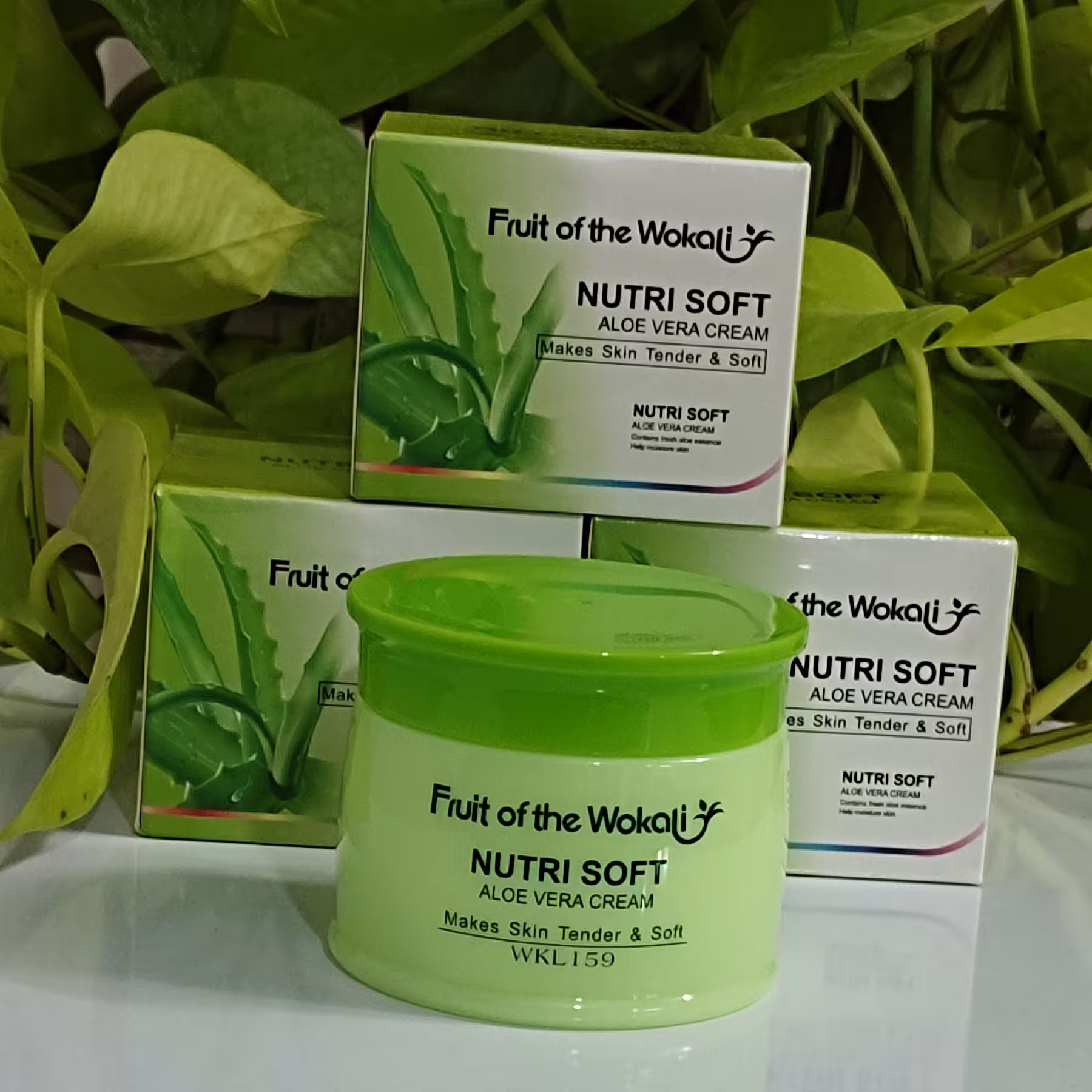 کرم  آبرسان آلوئه ورا وکالی