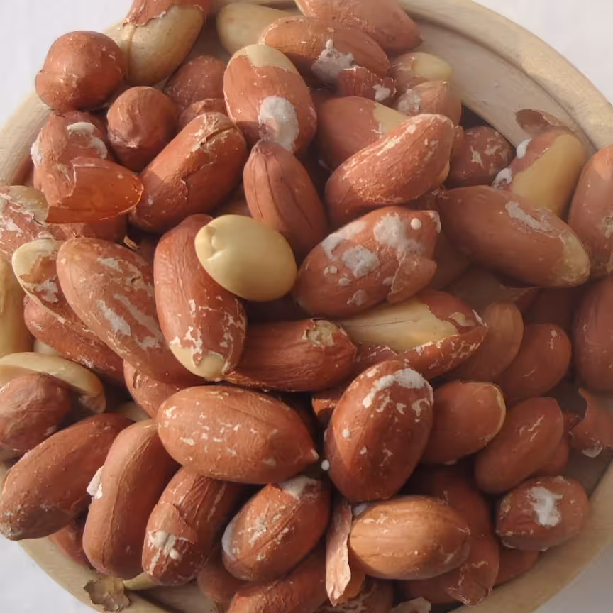 بادام زمینی نمکی آستانه اشرفیه