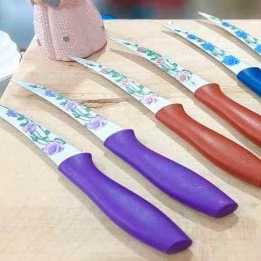 چاقو دوعددی گلدار با ارسال رایگان