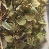 آویشن شیرازی درجه یک 50گرمی