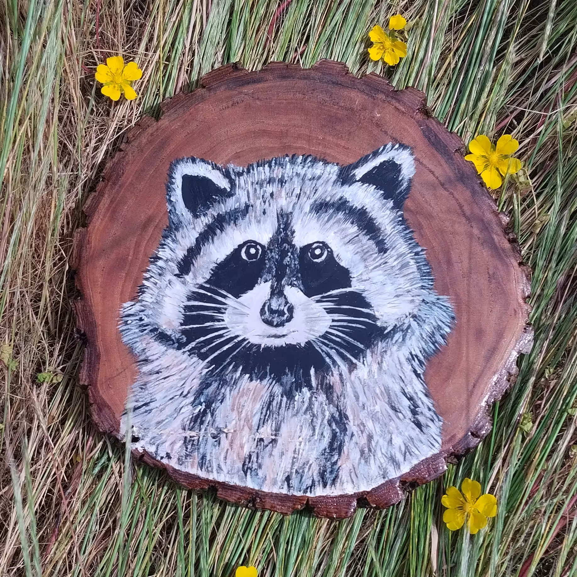 نقاشی رو چوب با رنگ اکلرلیک طرح راکون ضد آب شده جلا خورده