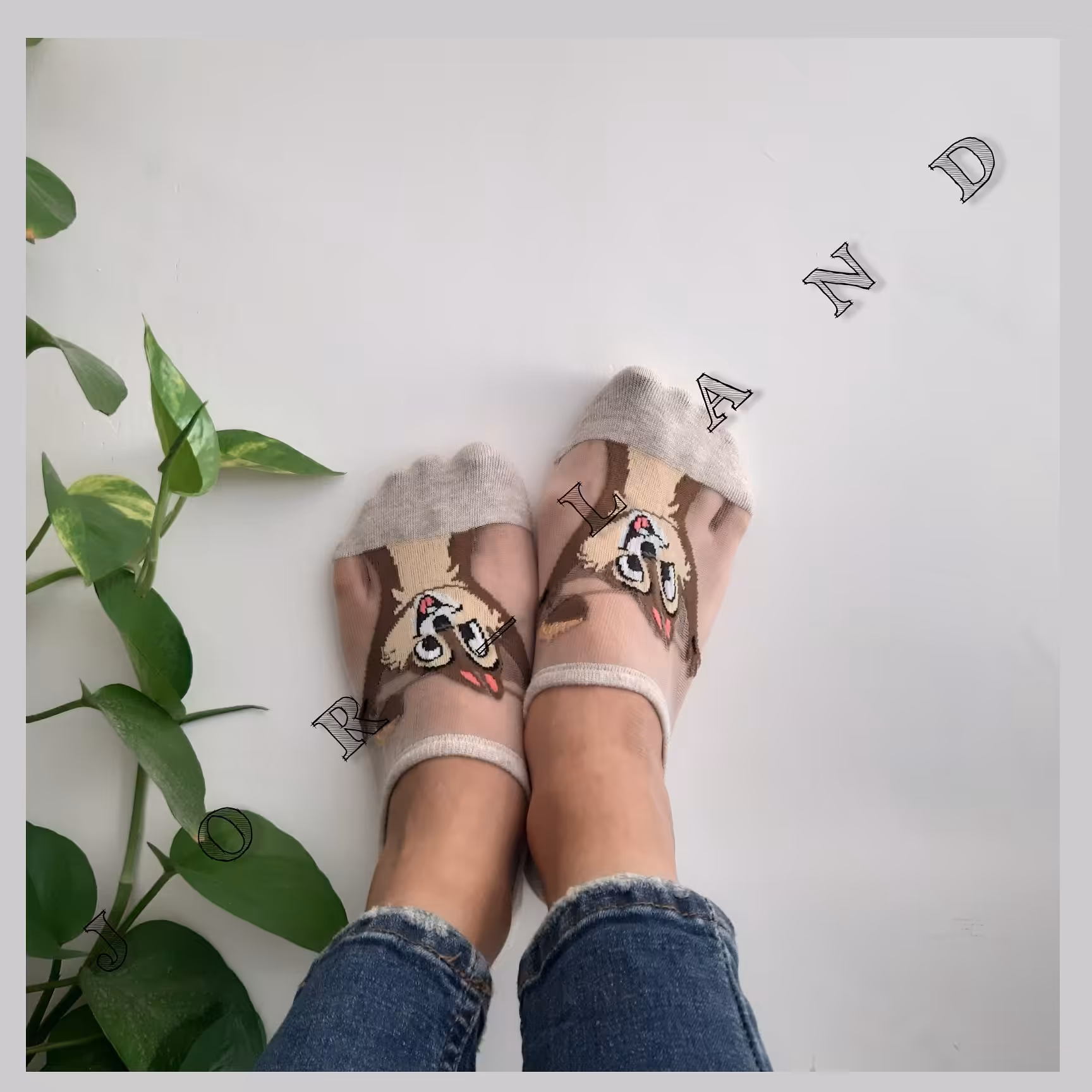 جوراب طرح سنجاب