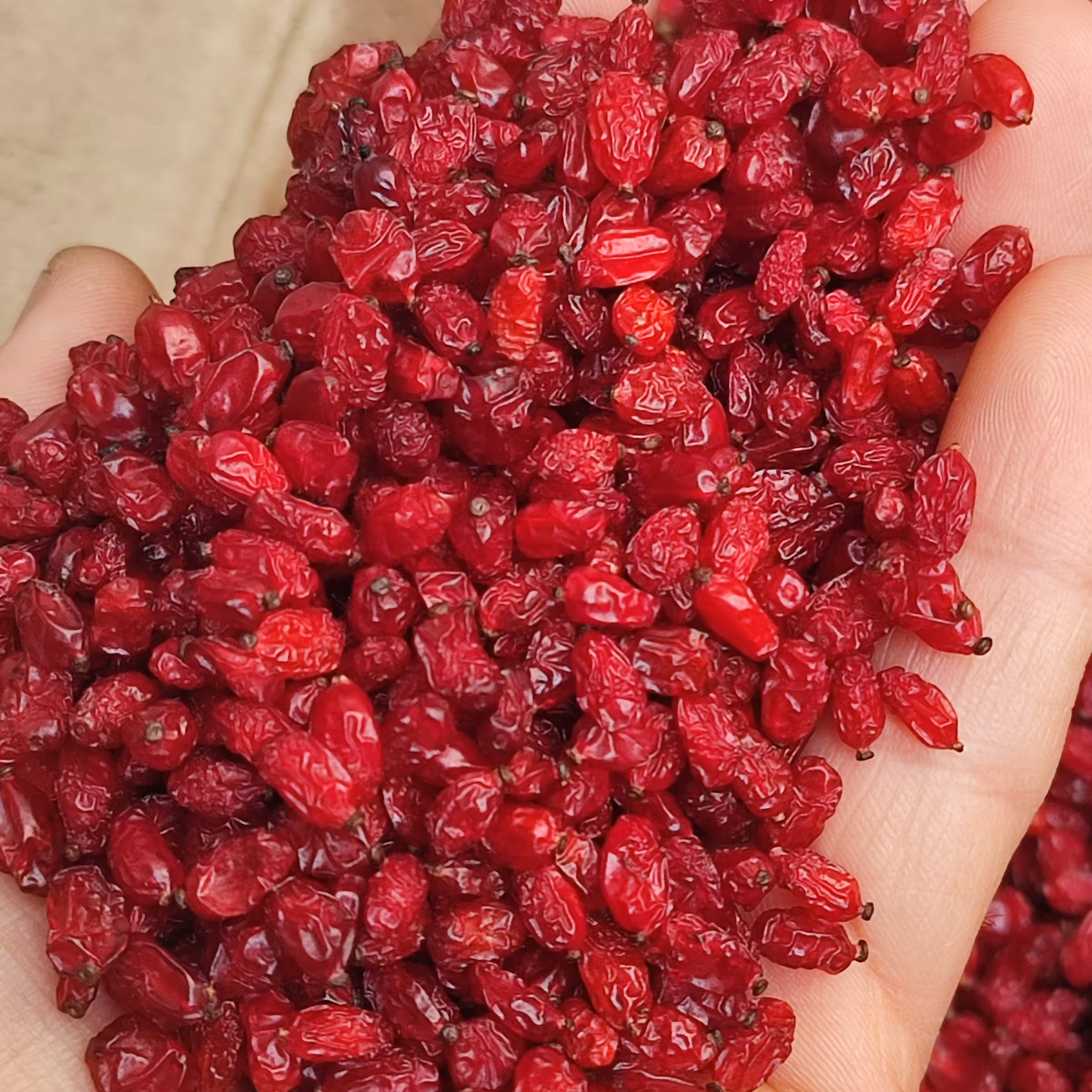 زرشک پفکی کد 29(1کیلویی)