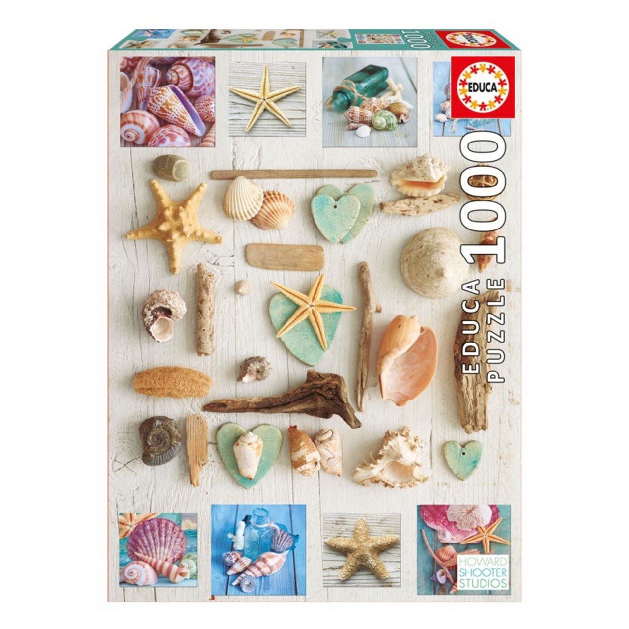 پازل 1000 تکه ادوکا مدل صدف های دریایی کد 17658
