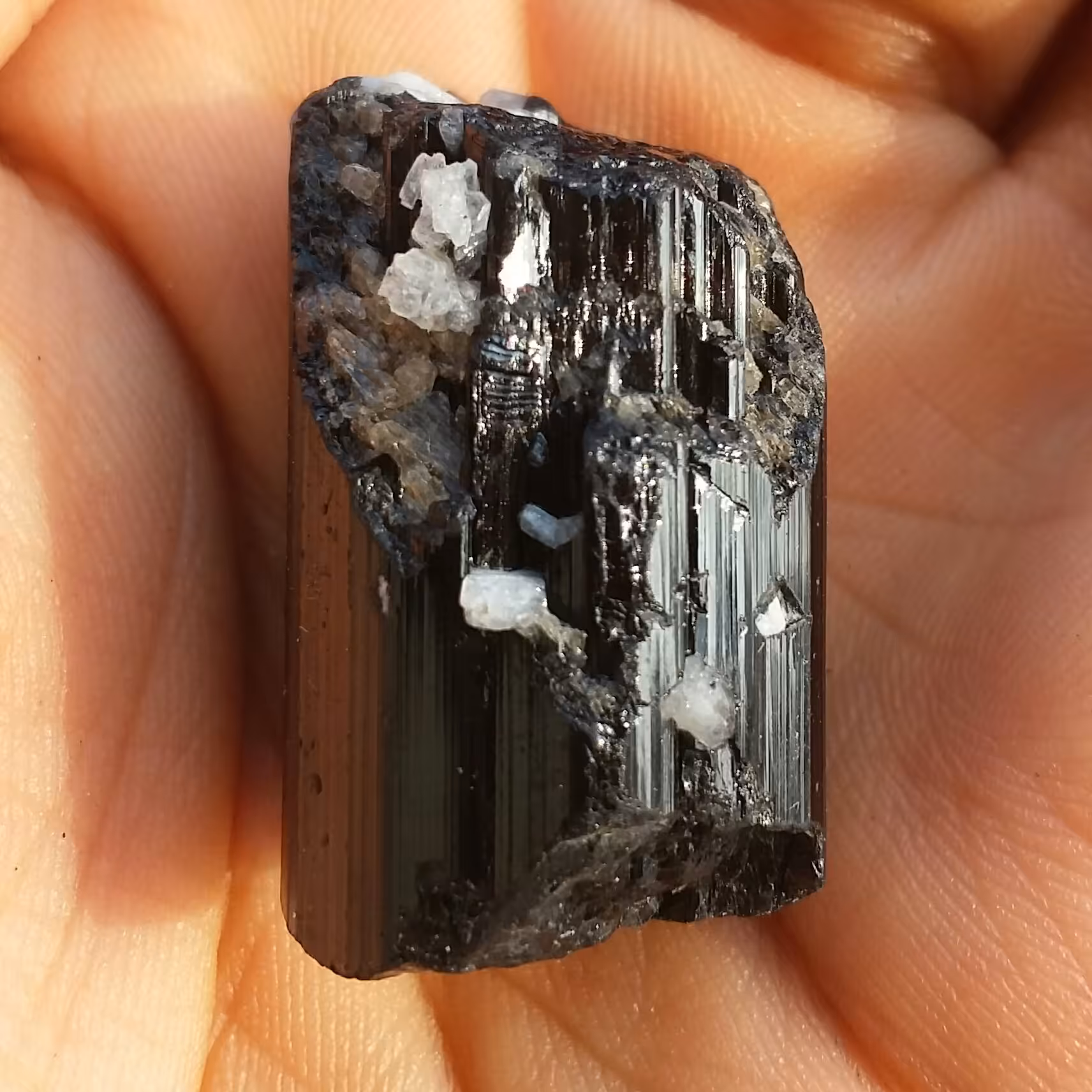 سنگ راف تورمالین شرول زیباا وارداتی ارزشمند شاهکار خلقت 100درصد طبیعی
مناسب جهت کلکسیون و ساخت نگین
بینظیییر دیدنی خاص