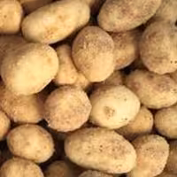 بادام زمینی طعم دودی 1000گرم