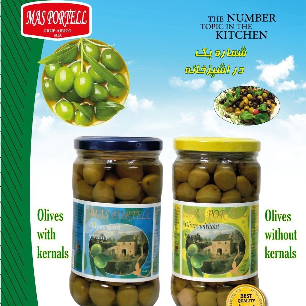 زیتون درشت بی هسته 650 گرم Mas Portell