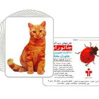 کارت دید آموز