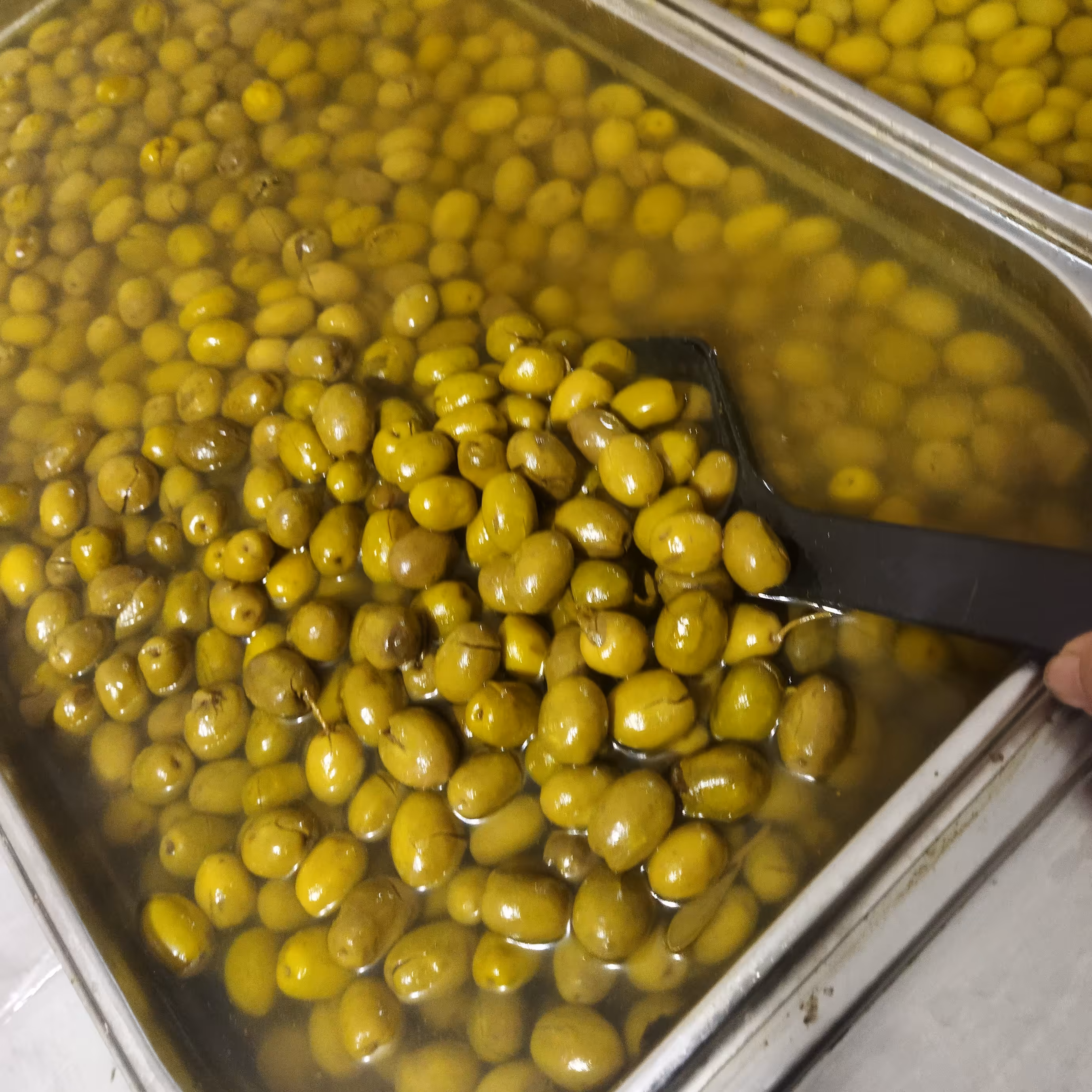 زیتون شکسته خوش طعم