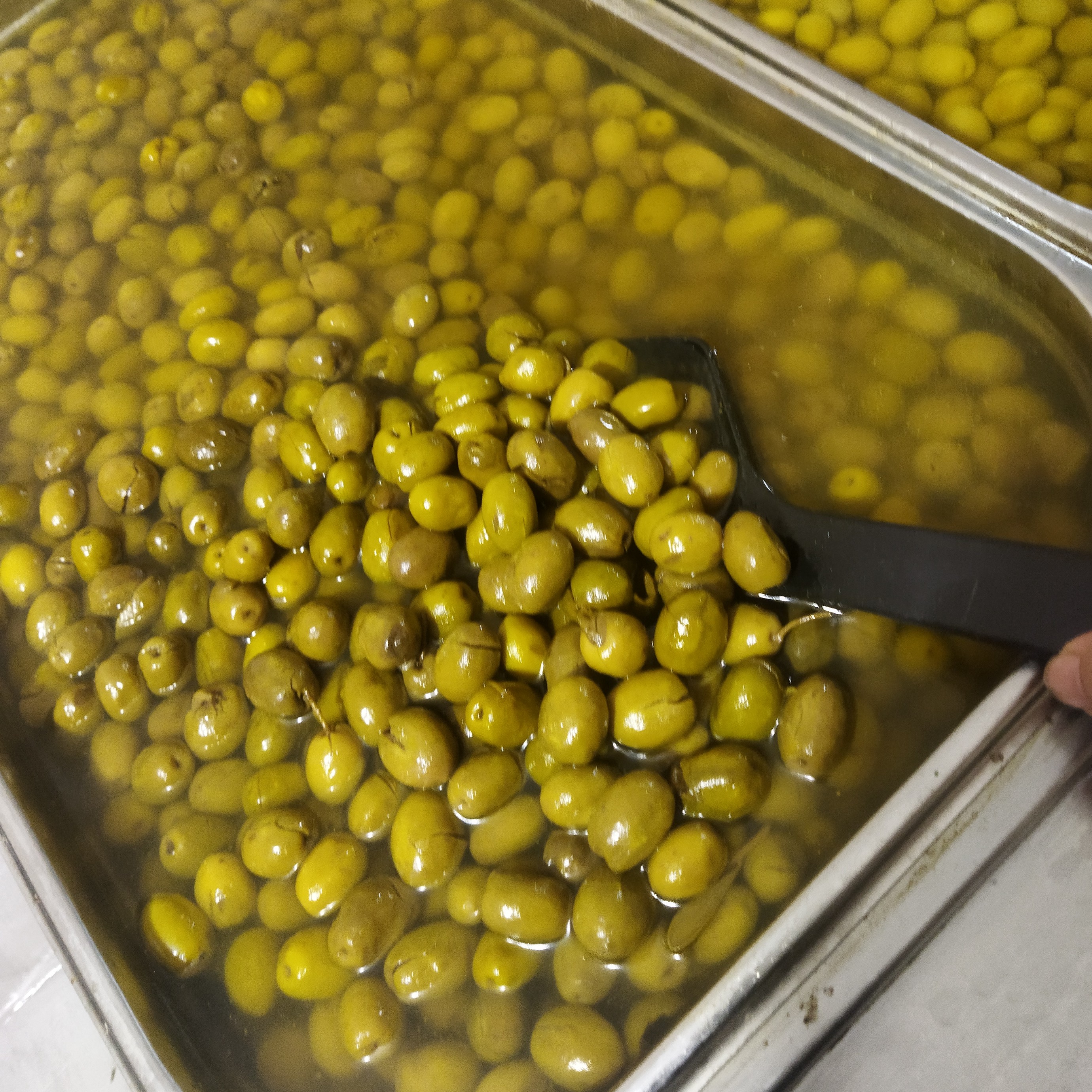 زیتون شکسته خوش طعم