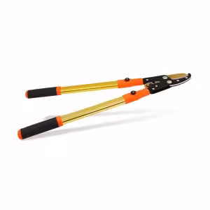 قیچی شاخه زن تلسکوپی واستر VASTER