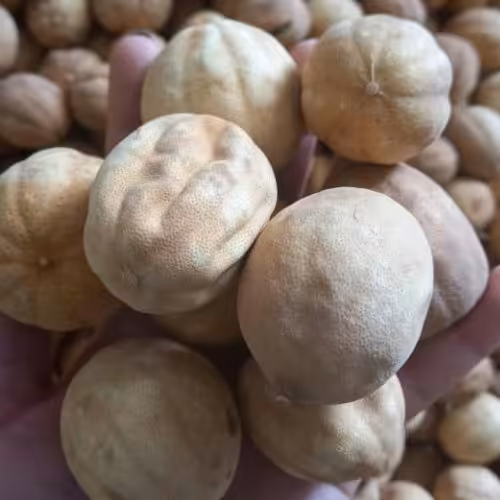 لیمو عمانی درشت در بسته‌های 120گرمی