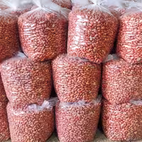 بادام زمینی تبرک مغان درجه یک ( سایز درشت ) کم نمک و امسال 90 کیلویی عمده 