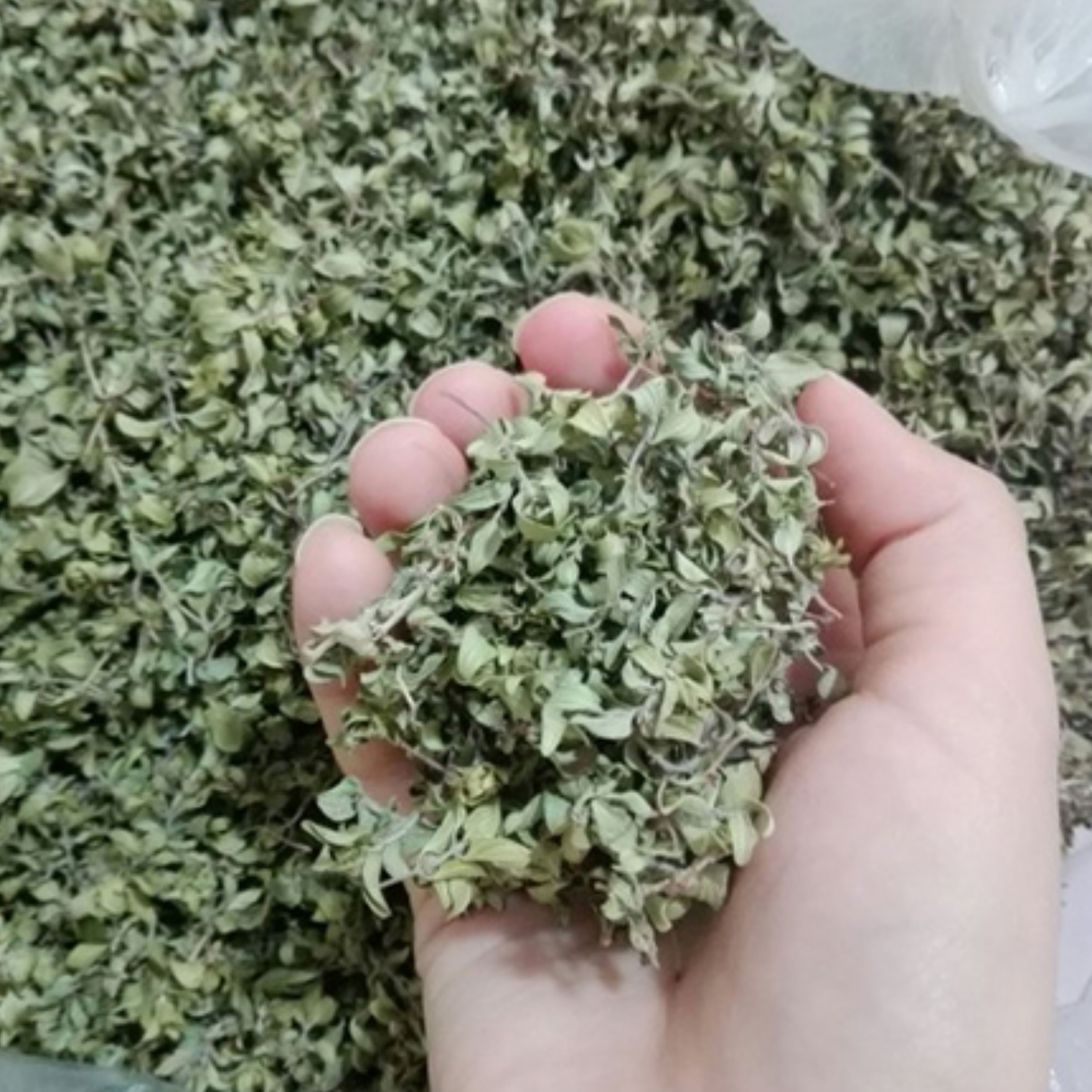 کاکوتی (100 گرمی)