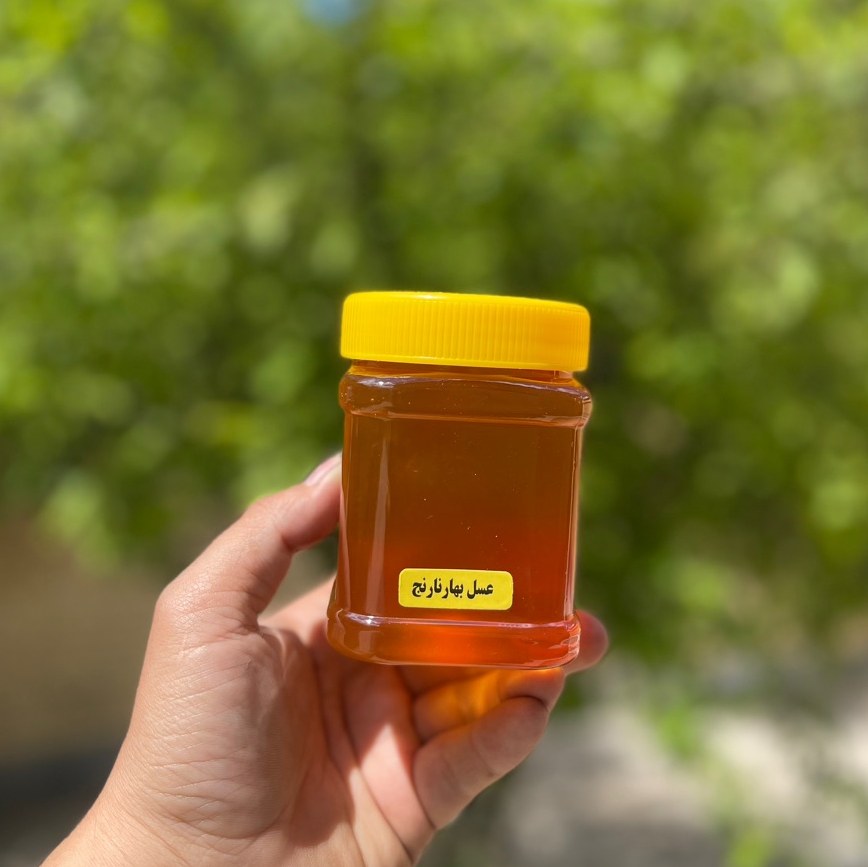عسل طبیعی شکوفه بهار نارنج (نیم کیلویی)