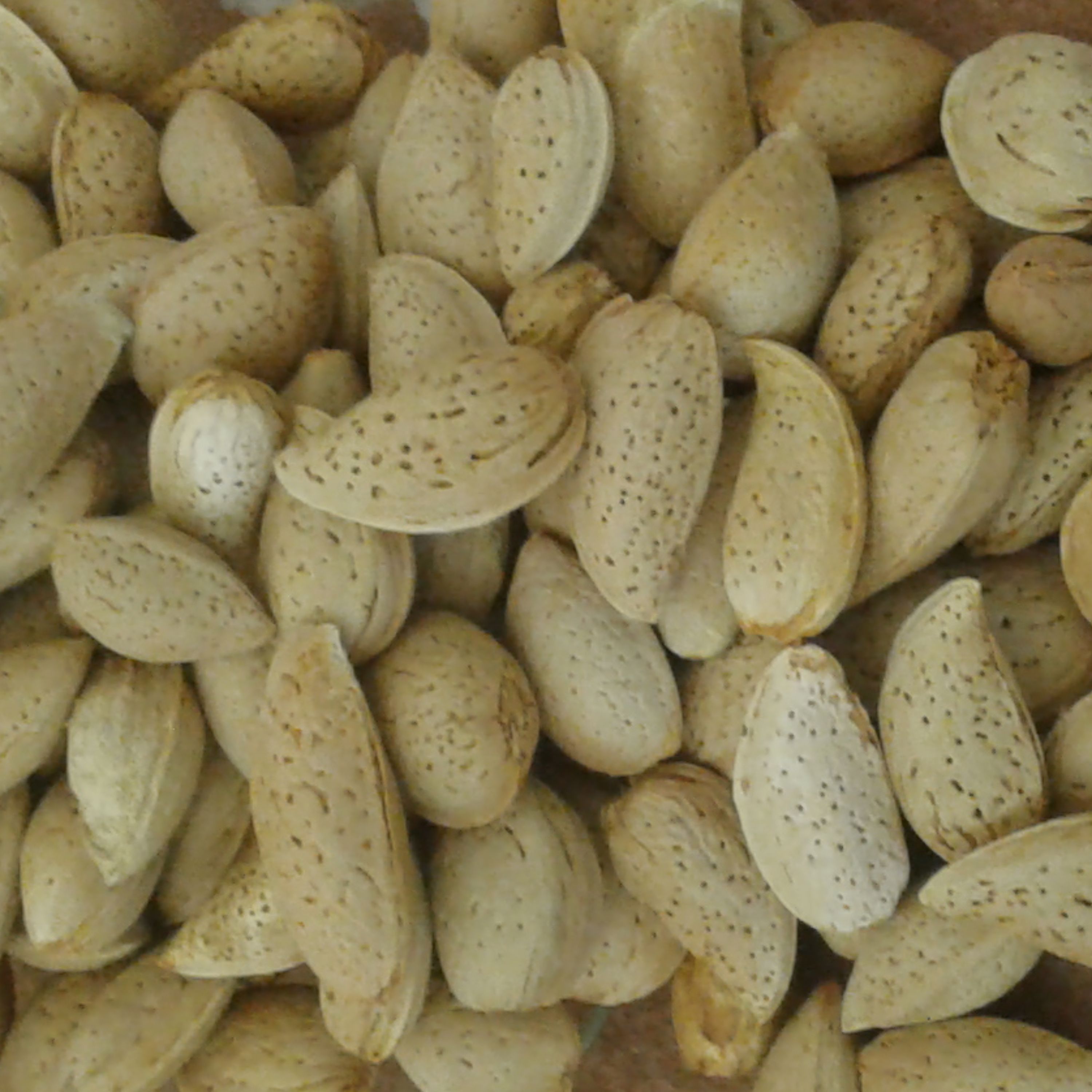 بادام تلخ (1کیلویی)