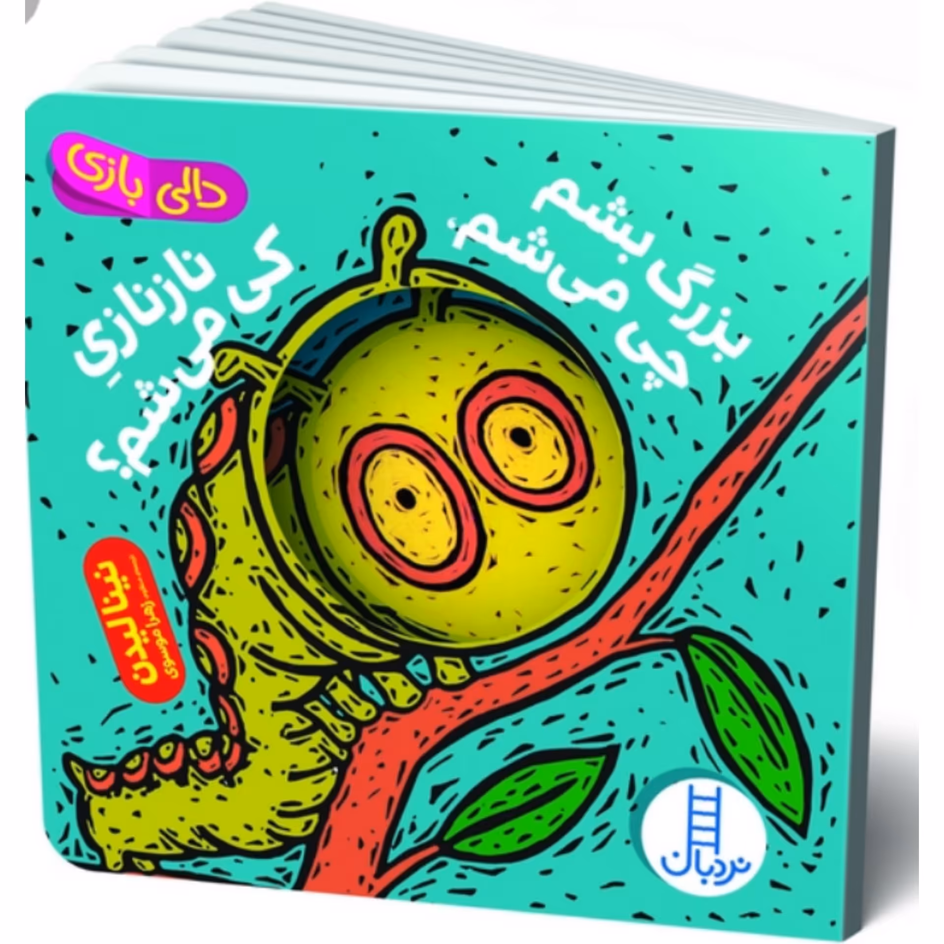 کتاب  دالی بازی بزرگ بشم چی میشم ناز نازی کی میشم انتشارات فنی ایران