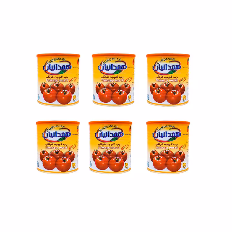 کنسرو رب گوجه فرنگی همدانیان - 800 گرم بسته 6 عددی