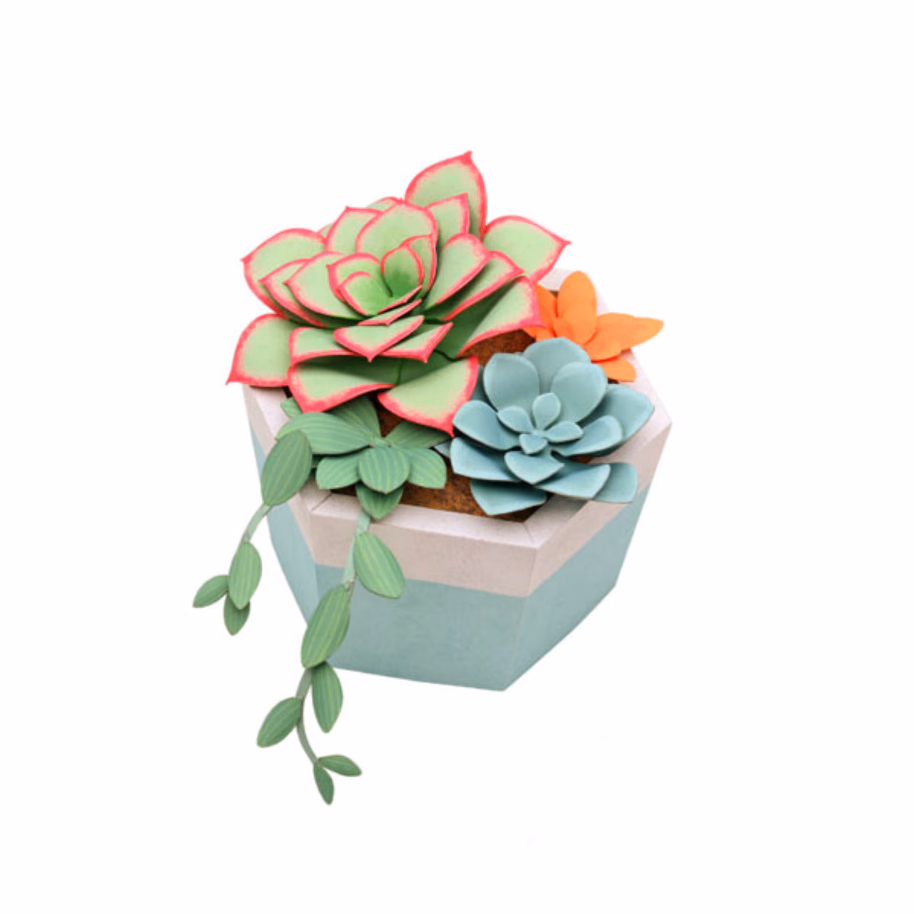 کاردستی گلدان گیاه ساکولنت