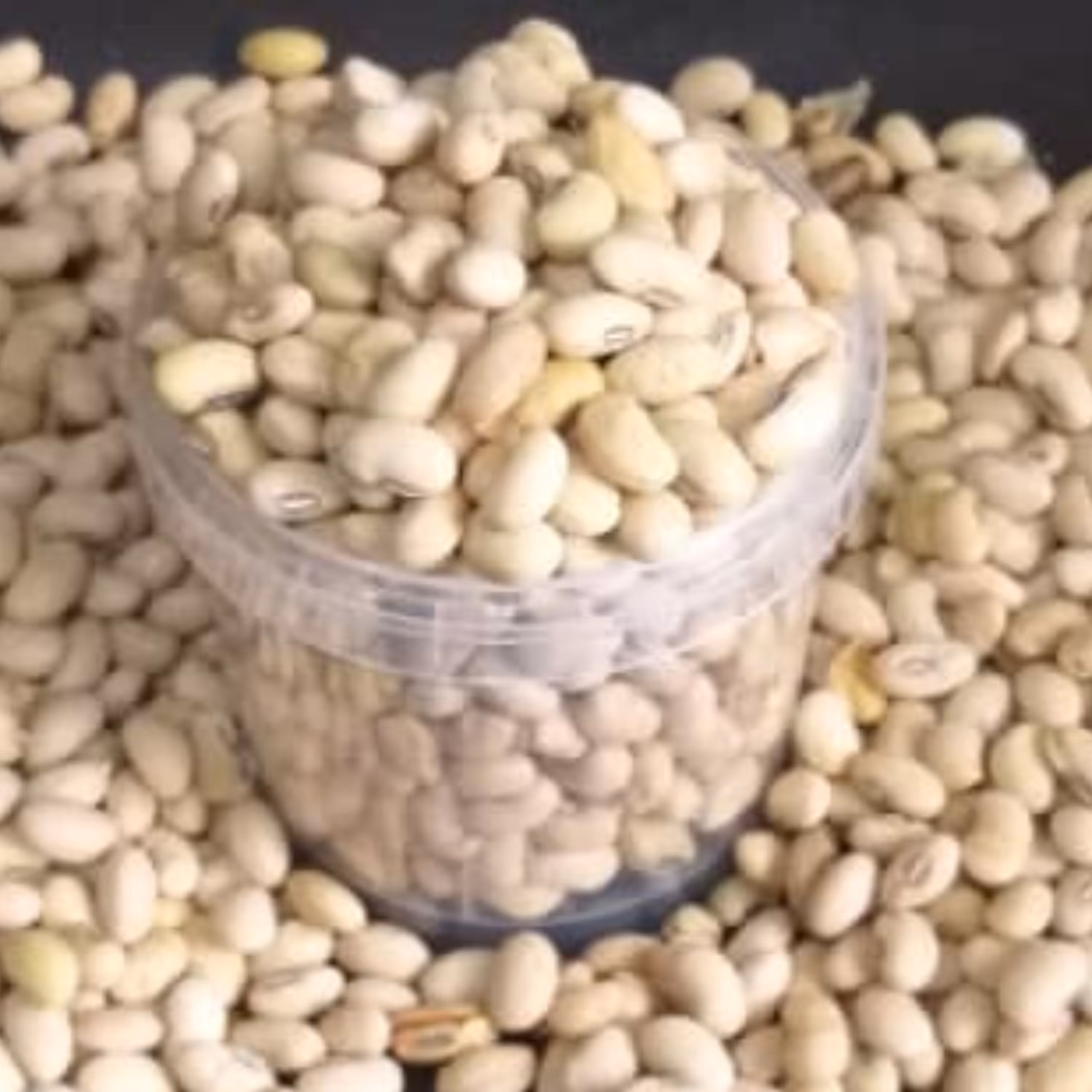 سویا (لوبیا روغنی ) آجیلی  1 کیلو 