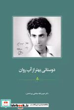 قیمت و خرید کتاب دوستانی بهتر از آب روان | ایده بوک