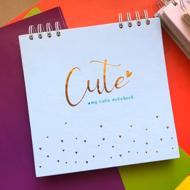 دفتر ژورنالی